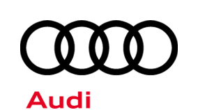 customer-logo-audi-rings
